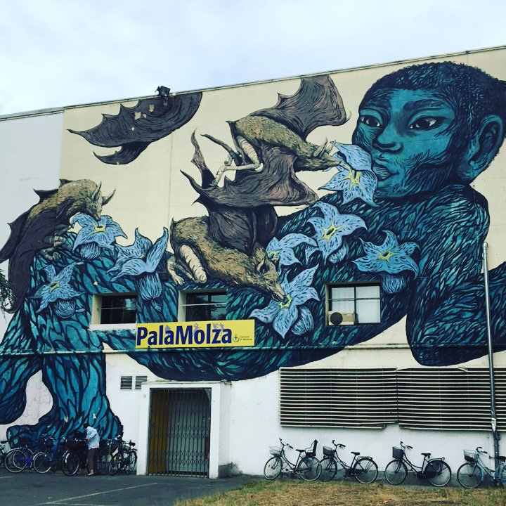 Storia della street art a Modena: le opere più belle