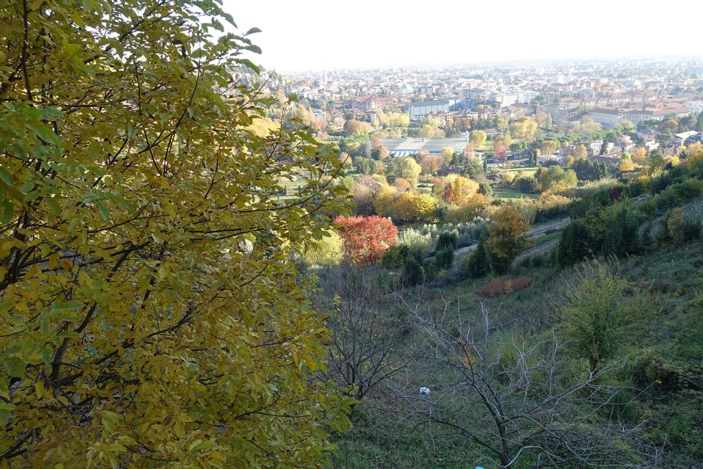 Se dici che abiti a Bergamo, già sai che domanda ti faranno: ecco un percorso che parte dalla città bassa e arriva in quella alta