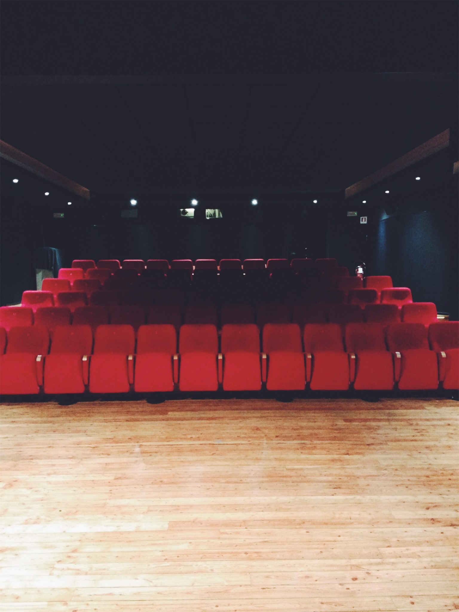 Il Cinema del Carbone di Mantova, dove si proiettano film e ci si proietta in laboratori, incontri, rassegne cinematografiche, concerti e visioni 