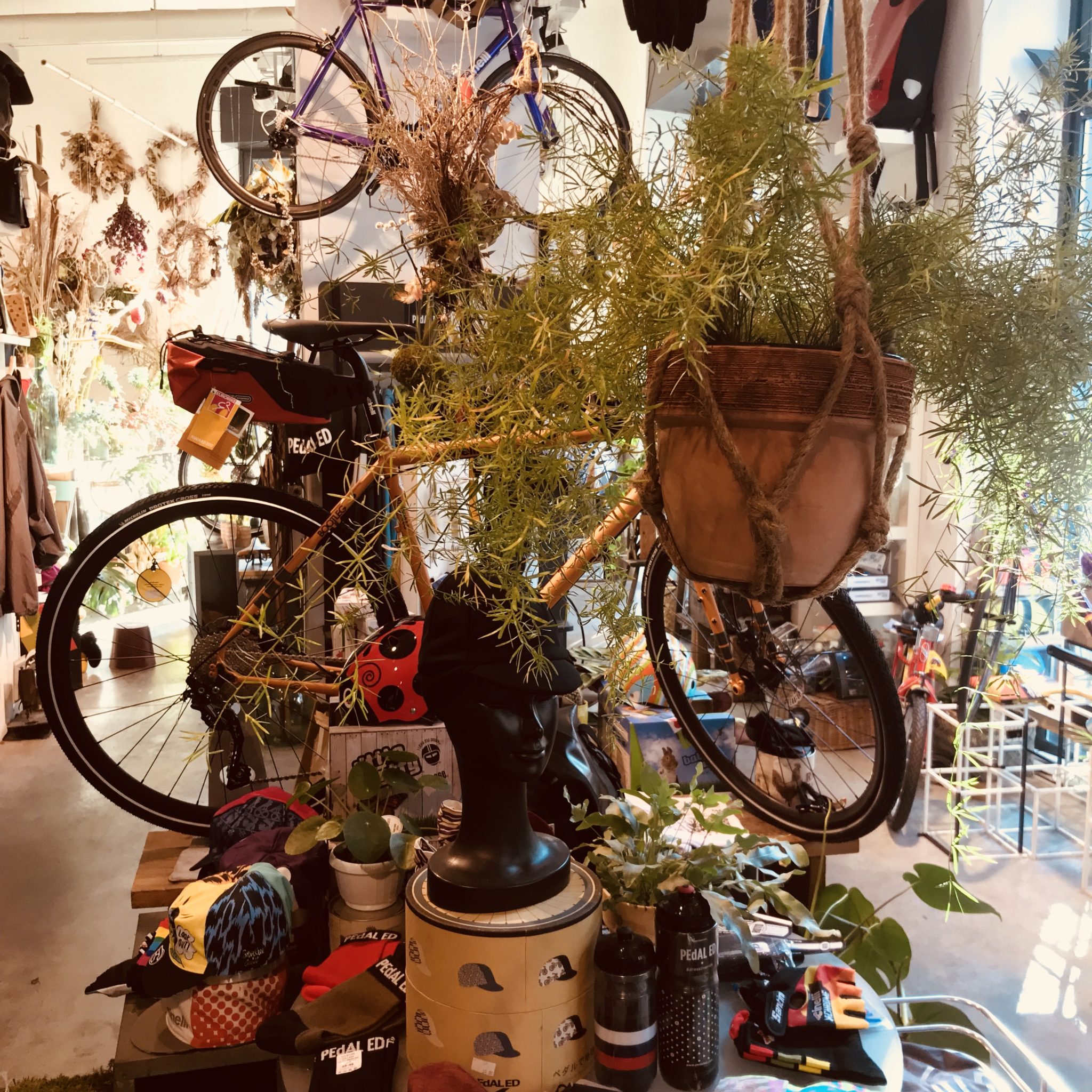 Bici&Radici, il concept store dove appassionati di ciclismo e di natura si incontrano, anche per bere un buon caffè e sorseggiare ottimi vini di Sicilia