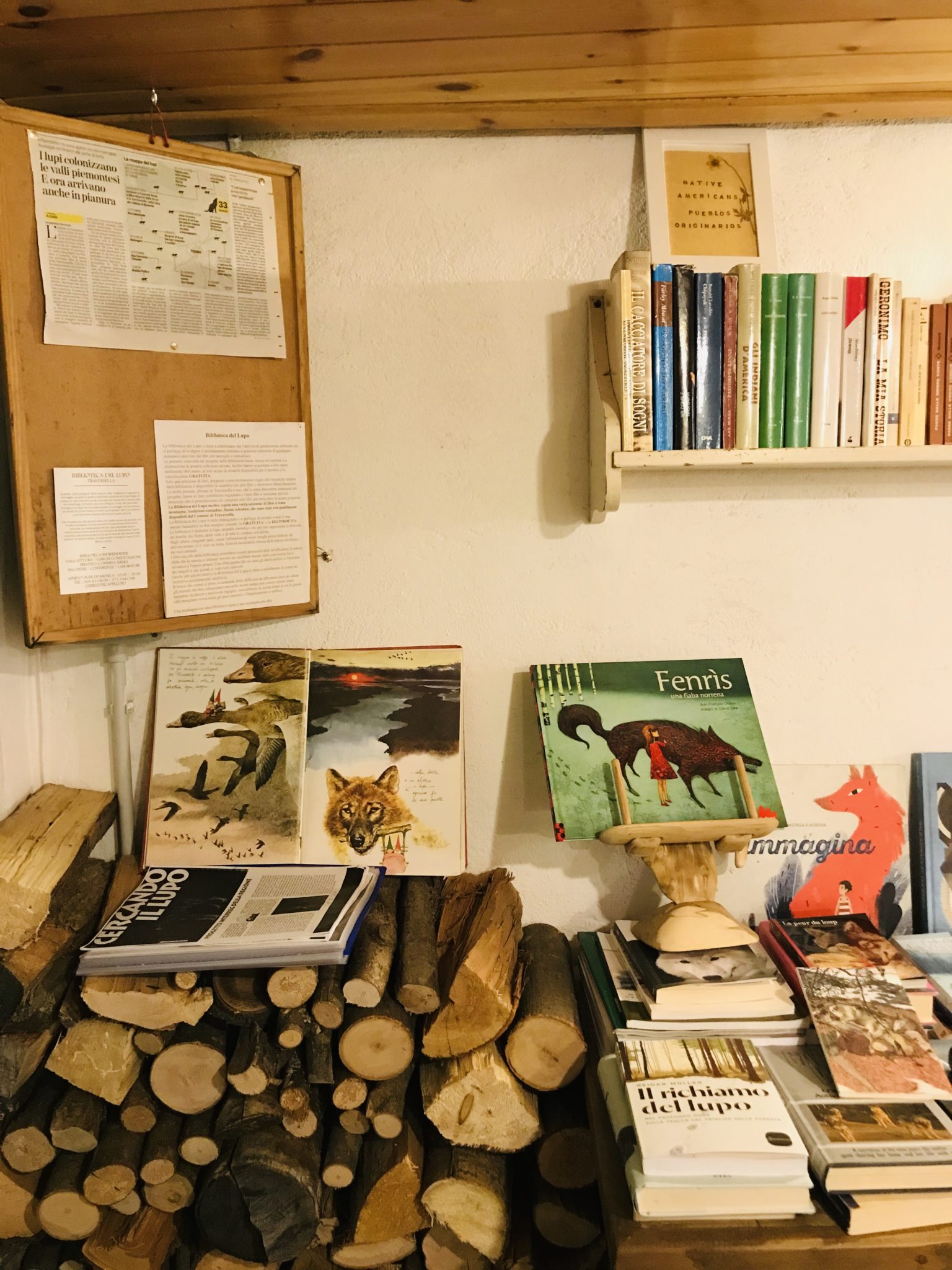 Nella baita di un piccolo borgo in Valchiusella, provincia di Torino, c'è una biblioteca aperta a tutti ma soprattutto ai lupi: la Biblioteca del Lupo