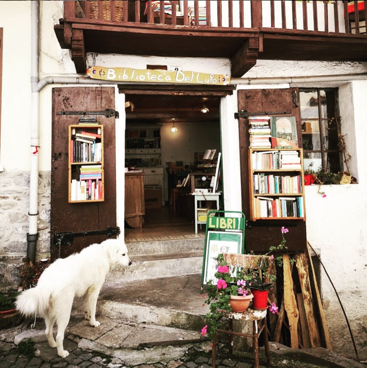 Nella baita di un piccolo borgo in Valchiusella, provincia di Torino, c'è una biblioteca aperta a tutti ma soprattutto ai lupi: la Biblioteca del Lupo